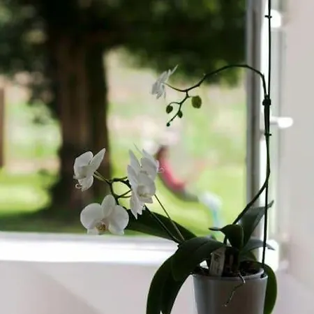 Au Chato Quend-plage * 퀜드