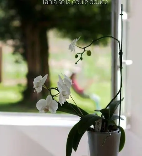 Au Chato Quend-plage * Quend